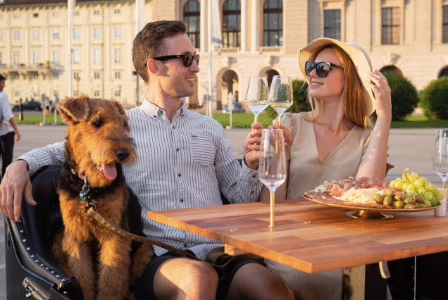 Wine Tasting Tour